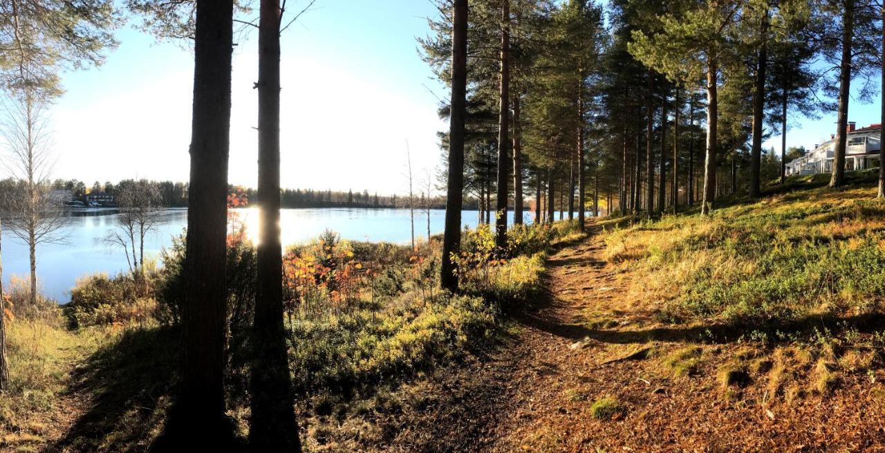 Arctic Sofia Riverstudio Rovaniemi Dış mekan fotoğraf